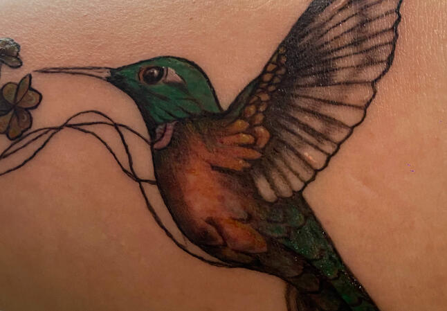 Colibrí a los 50 Colibrí a los 50